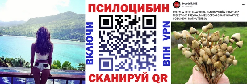 даркнет сайт MEGA как зайти Галлюциногенные грибы ЛСД Шумерля