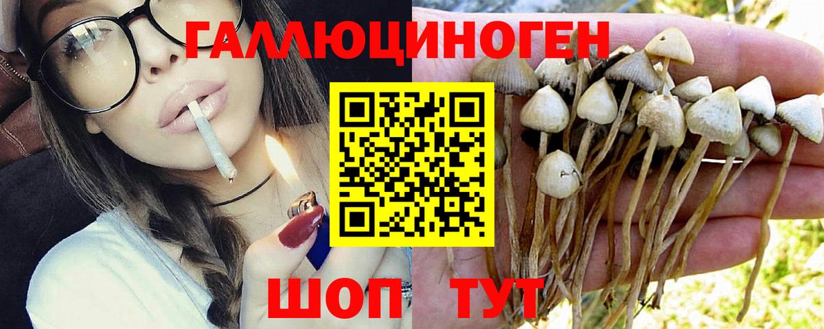 Шумерля  Галлюциногенные грибы GOLDEN TEACHER  Псилоцибиновые грибы Psilocybine cubensis  Вход с VPN 